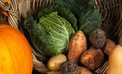 Essential Farm Tools Every Farmer Should Have