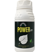Power Up